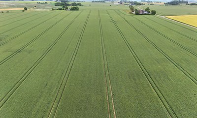 'Vi kan se et tydeligt behov i markedet'