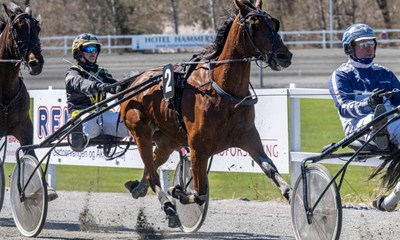 15 heste til start i storl�b
