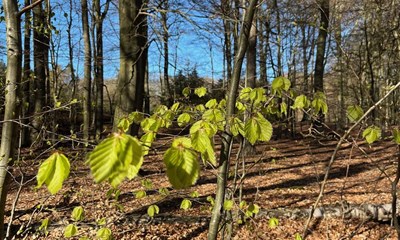 S�sonens sidste l�b
