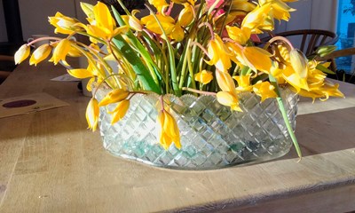 Dagens billede: Vilde tulipaner fra bornholmske gr�ftekanter