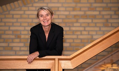 Bornholmer p� holdet: Ny region har direkt�rer p� plads