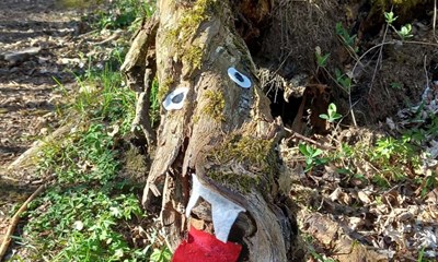 Dagens billede: Nordbornholmsk skovuhyre