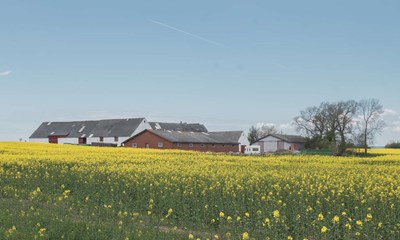 Dagens billede: Jeg er fra Argentina og er betaget af landskabet p� Bornholm