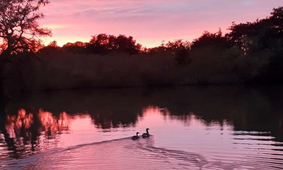 Dagens billede: Solnedgang ved Ferskes� i Nex�