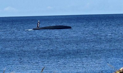 Dagens billede: Us�dvanligt syn ved havet