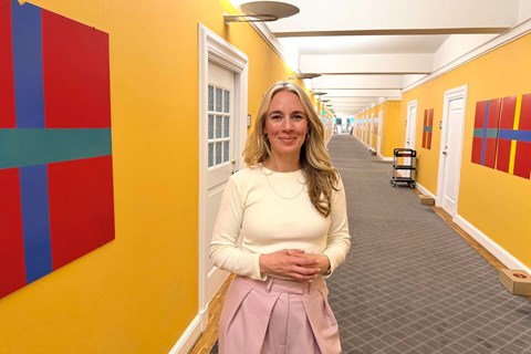 'Dybt frustrerende': Ingen garanti fra Sverige