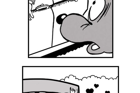 Hjemland