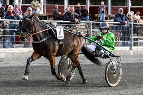 Frederik topper listen over �rets ponykuske