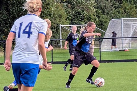 Afbud fra Viking/RIK
