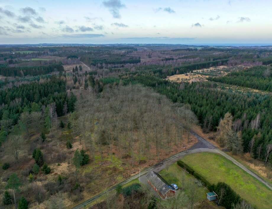 Politikere gav tilladelse til ikke-religi�s skovgravplads og vedtog urnetakster