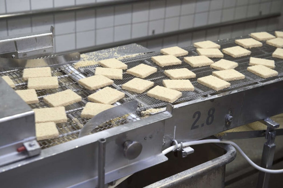 Eksportvirksomheder: Alle er ramt, men for de fleste kommer det værste først nu