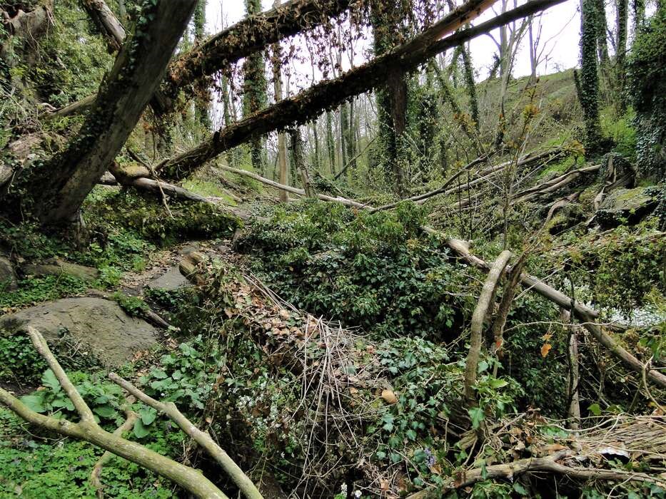 P� weekendtur med Sillehoved: Den skjulte Bl�skinsdal