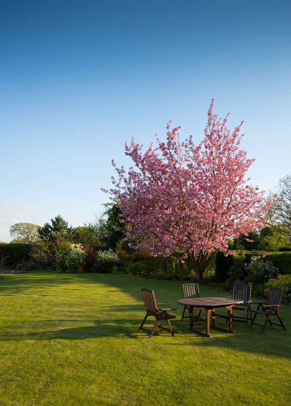 S�dan bliver din gr�spl�ne klar til sommer