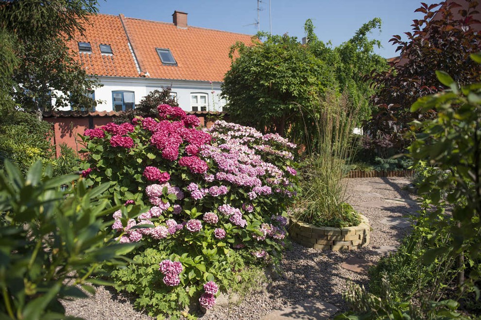 En haveoase midt i byen