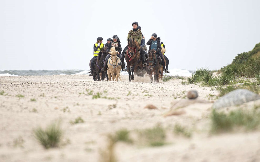 Bornholm rundt p� islandske heste: 'Andendagen er v�rst for bagdelen'