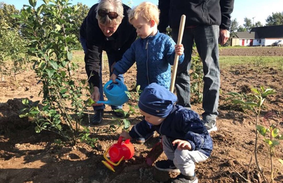 R�nne Havn betaler: 100.000 nye tr�er og buske p� vej p� Bornholm