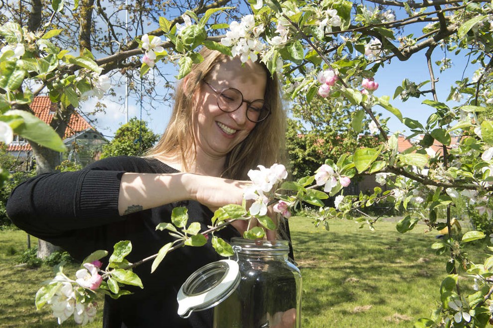 Snapsevirksomhed crowdfundes i gang
