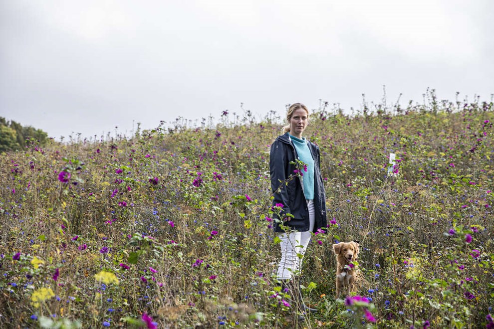 Blomster til selvpluk hitter i Gudhjem