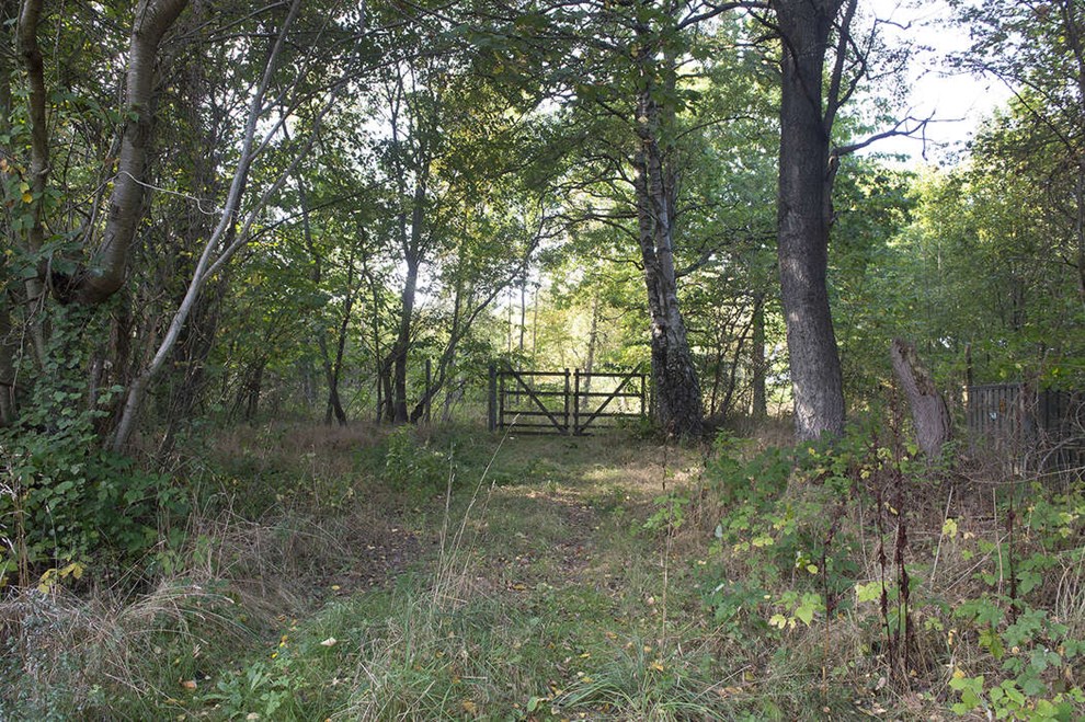Det er svært at se det, men her lå en dyrepark Det er svært at se det, men her lå en dyrepark