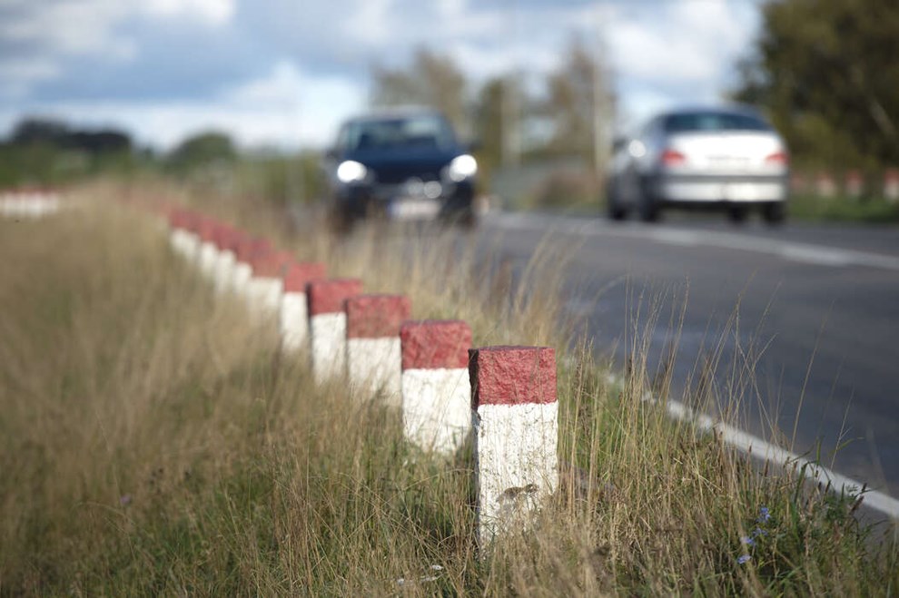 Regels�t har en kattelem: S�dan kan r�dh�tterne reddes