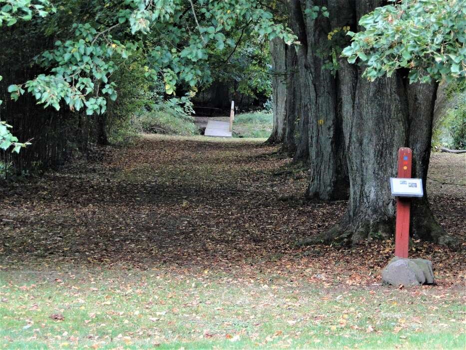 Arboretet er livets skov. Her har det siden 1932 været muligt at se eksotiske træer