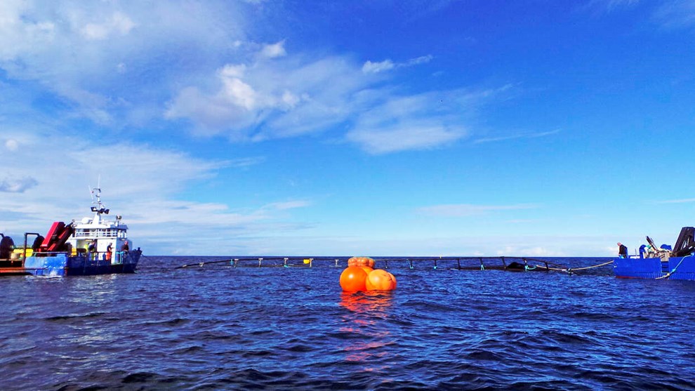 Slut med flere eller st�rre havbrug: Bornholms Havbrug �ndrer ikke planerne