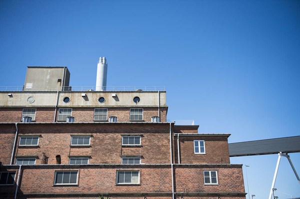 Beof i notat til politikere: Ikke fagligt forsvarligt at beholde elnettet
