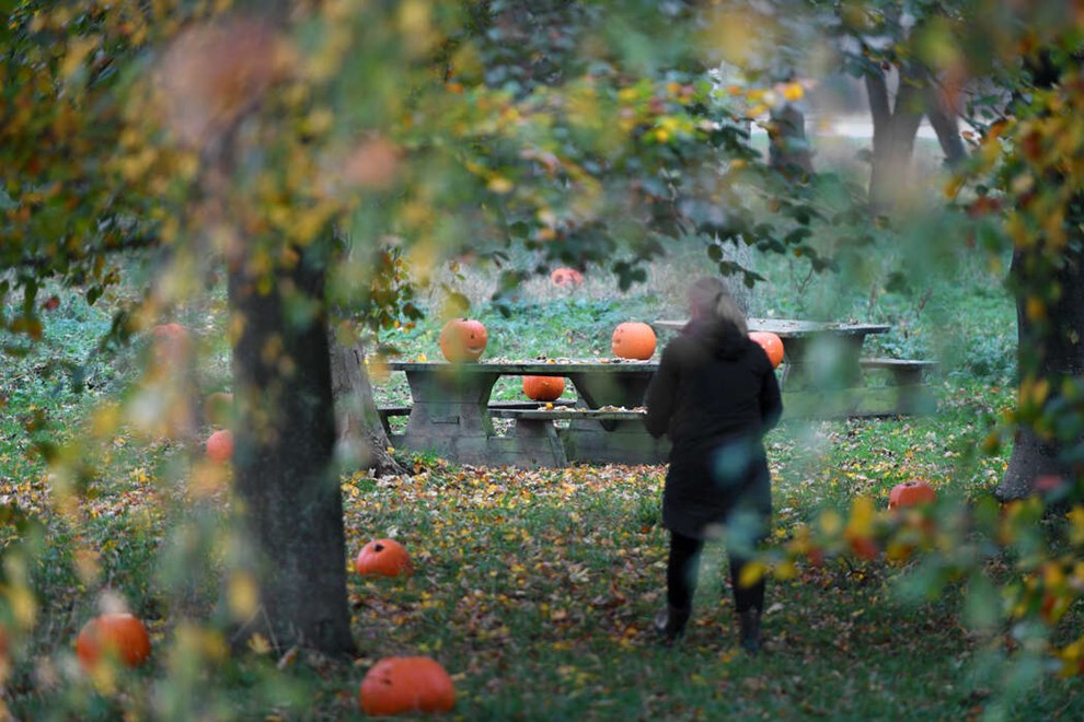 Nyker Borgerforening gennemf�rte Halloween: Nogle traditioner skal vi holde fast i