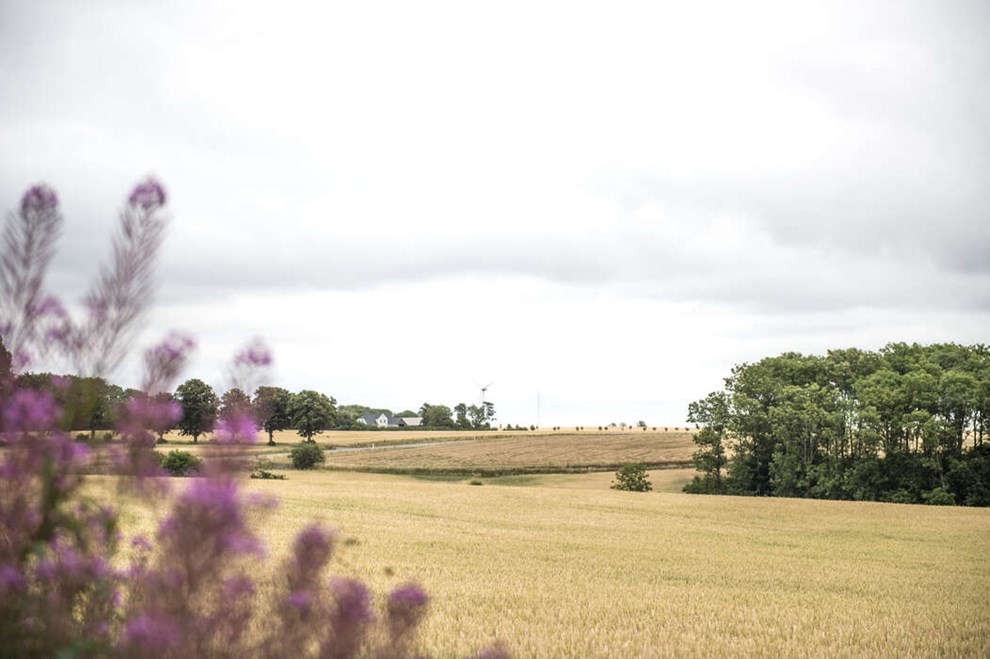 1,5 millioner kroner er i hus � men der mangler fortsat investorer til nyt �koselskab