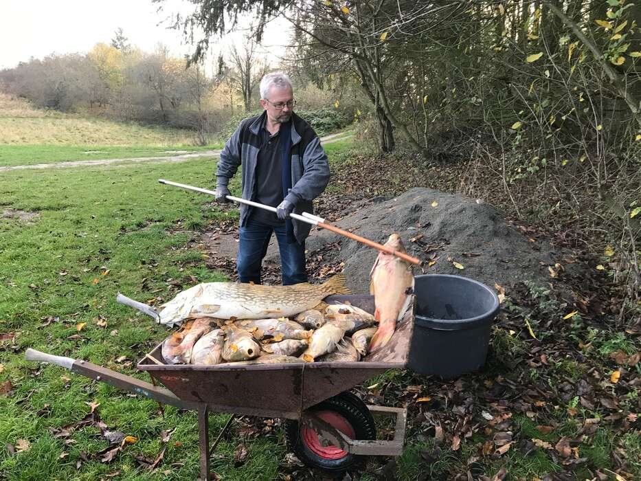 Naturforening: Mejeriet skylder os en forklaring