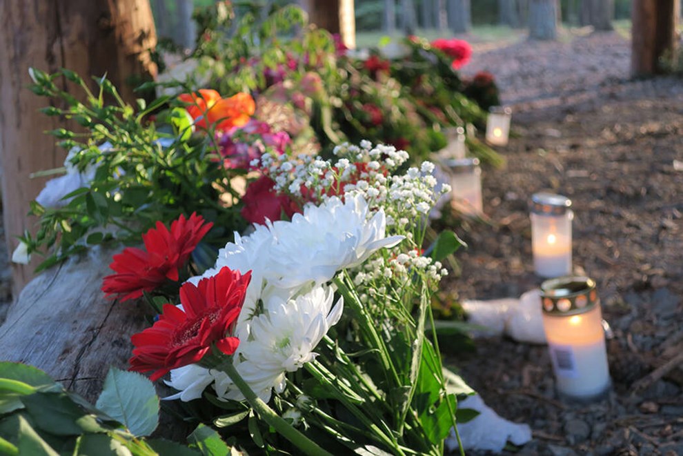 Brdre skal 14 r i fngsel for drab i Nordskoven