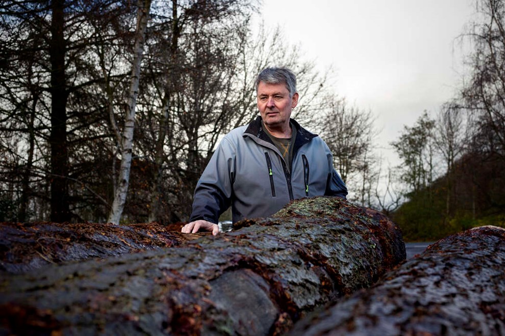 Tr� til terrasser og plankegulve hitter men en anden del af produktionen er g�et helt i st�