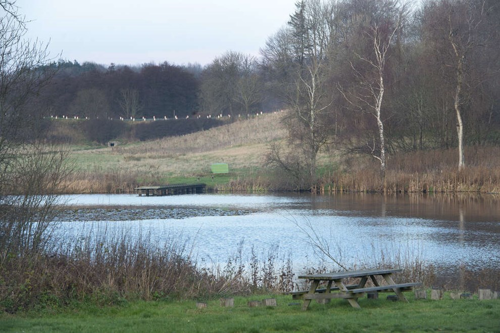 Vandlbet i Prsteskoven blev ogs ramt af forurening i august