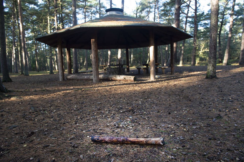 Drabsdmte brdre m vente lnge p appelsag