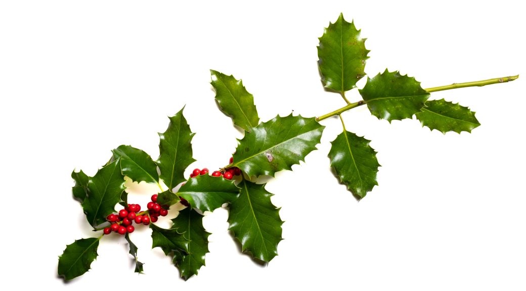 Lad os spise noget pynt