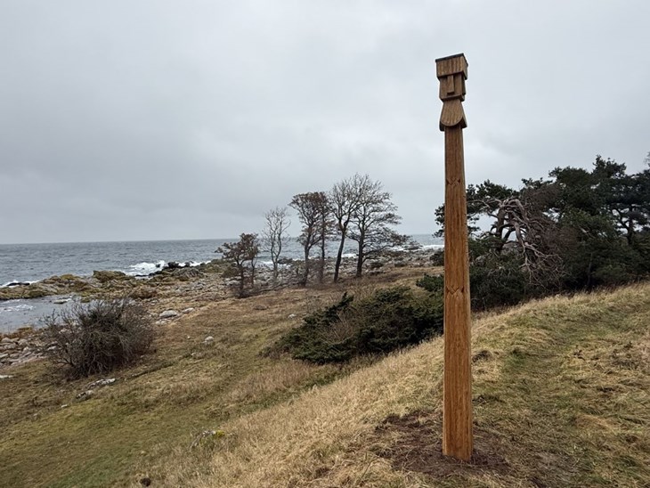 Mandag blev denne totemlignende p&aelig;l opdaget p&aring; kyststr&aelig;kningen mellem Svaneke og Listed. Foto: Jakob Marschner