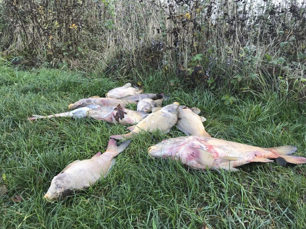 Forureningssager op til drftelse i miljudvalget 