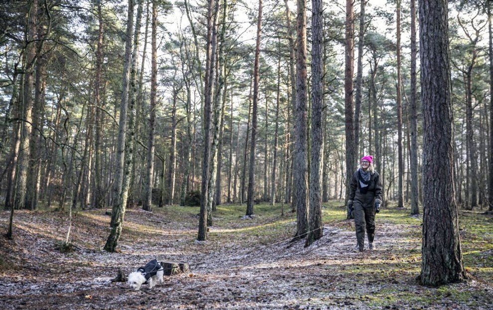 Krligheden praler ikke