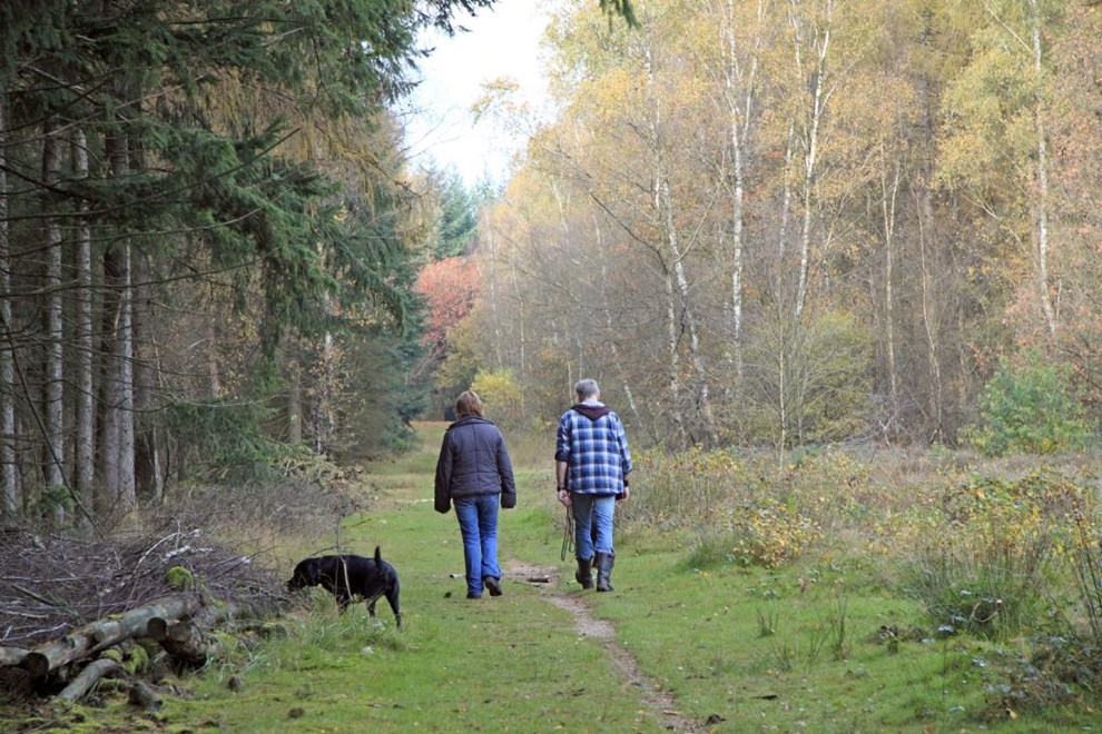 Klar, parat, g! Det handler om bevgelse, samvr, vaner og lidt konkurrence