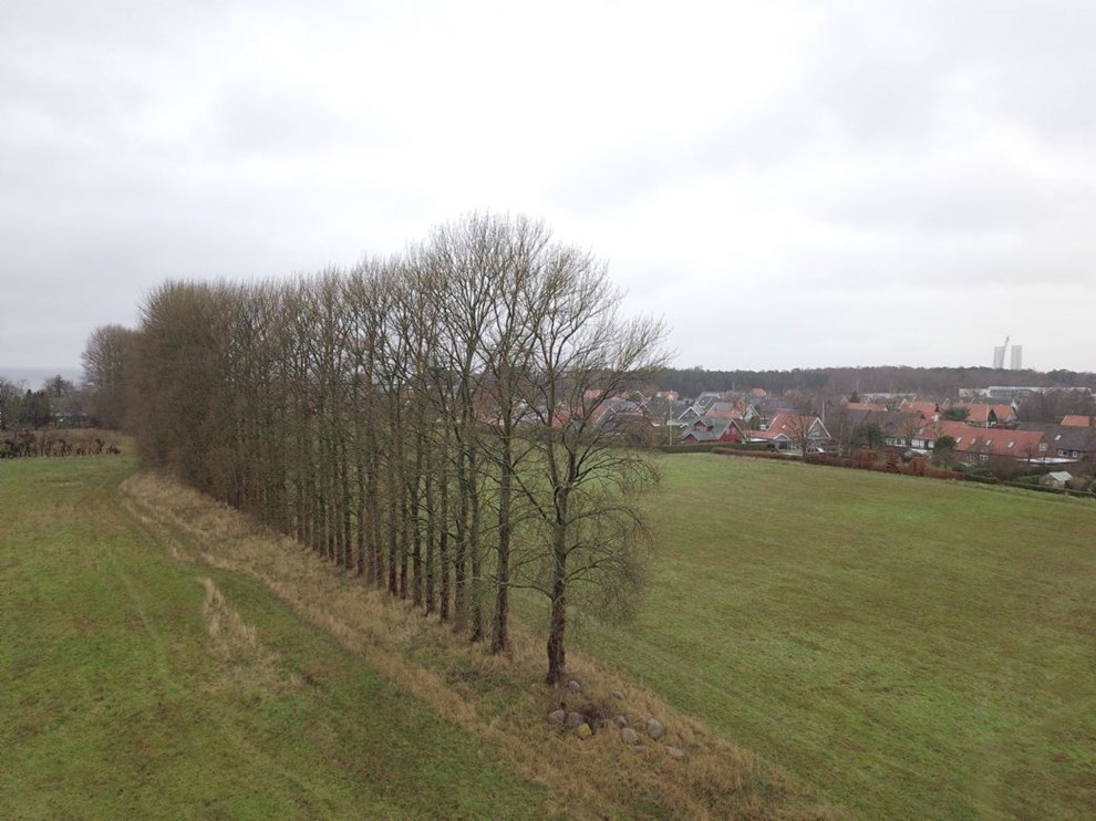 Arbejdet med nyt boligomrde fortstter ufortrdent: Alle lover at passe p dyrelivet