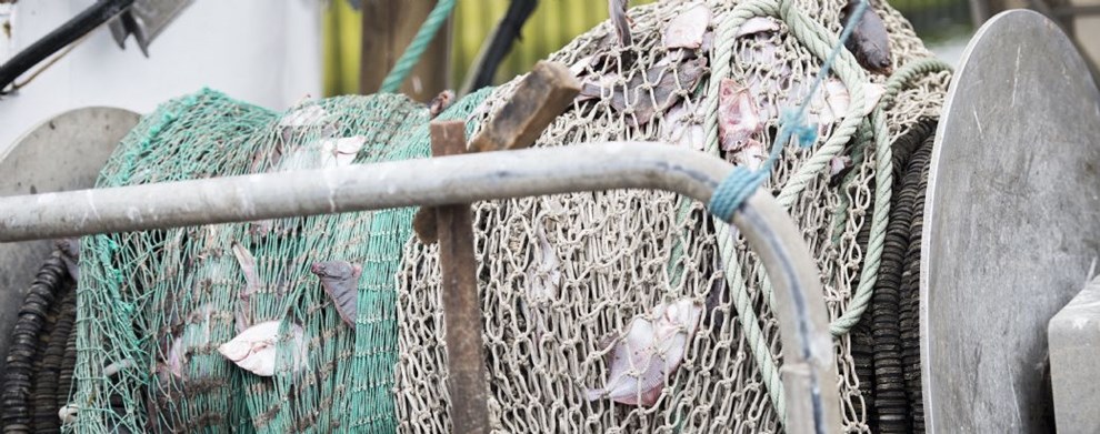 Minister støtter lavere kvoter: Dybt ulykkeligt for fiskere Minister støtter lavere kvoter: Dybt ulykkeligt for fiskere