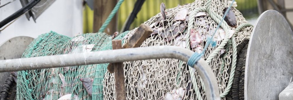 Debat: Regeringens n�l f�r alvorlige konsekvenser for danske fiskere