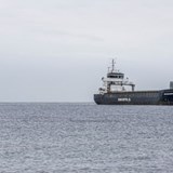 Mistanke om alkoholpvirkning p grundstdt fragtskib