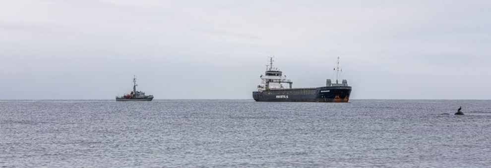 Mistanke om alkoholpvirkning p grundstdt fragtskib