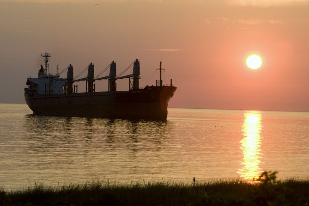 Det er ikke frste gang, at Sorthat fr uventede gster