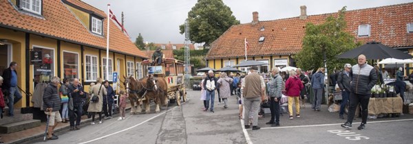 Lokale kr�fter overtager ferieboliger