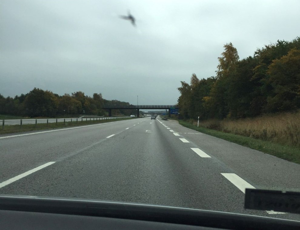 Nu igen: Bornholmsk par fik delagt forruden i Sverige