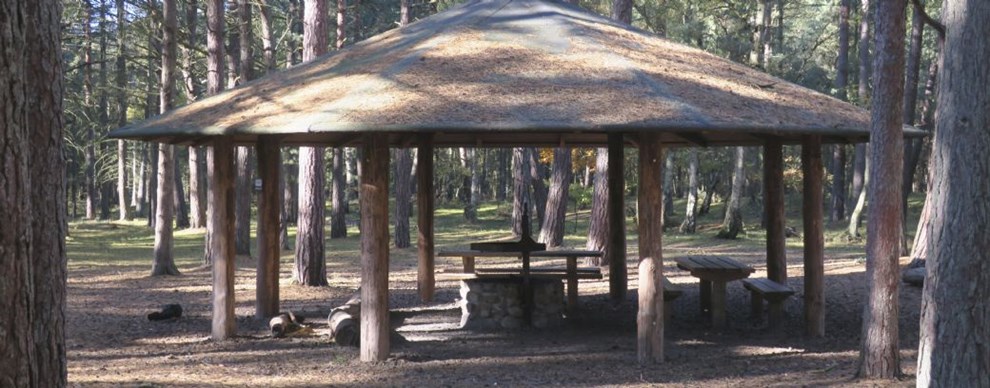 Drabssagen fra Nordskoven for retten igen i denne uge