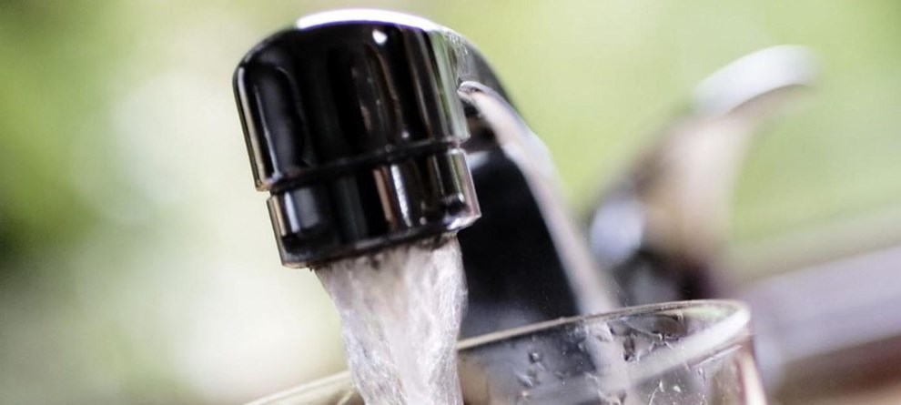 Risiko for grnt vand i hanerne