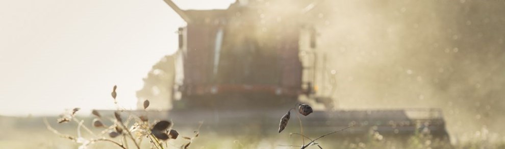 Frste hst er i hus: Stjernekoks virksomhed arbejder med kdets aflser